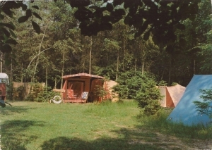 A27 Camping De Reehorst 6